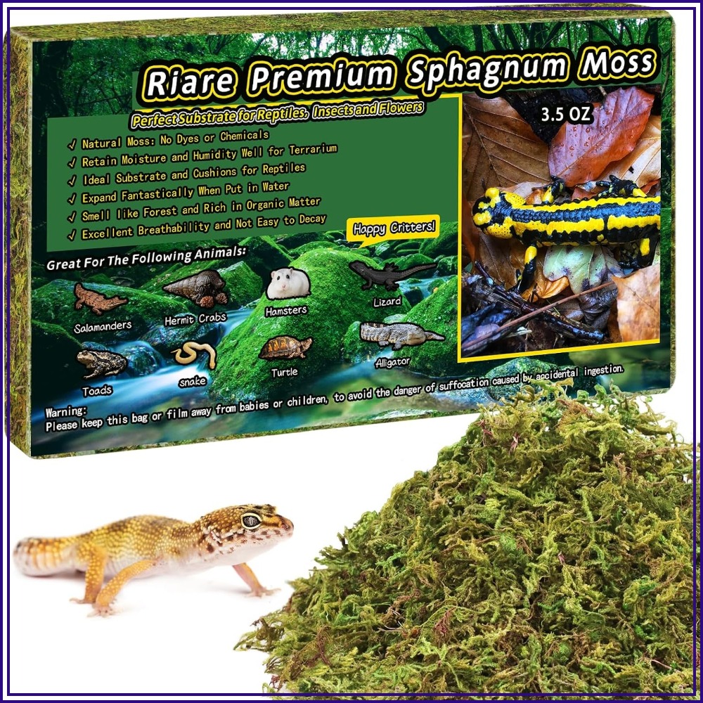 Sphagnum Moss Dry - 3.5 OZ Premium Sphagnum Moss for