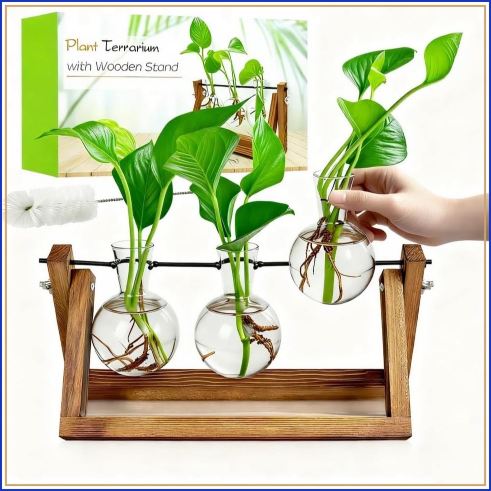 Propagation Station Vase - Plant Propagation Station with Wooden Stand
