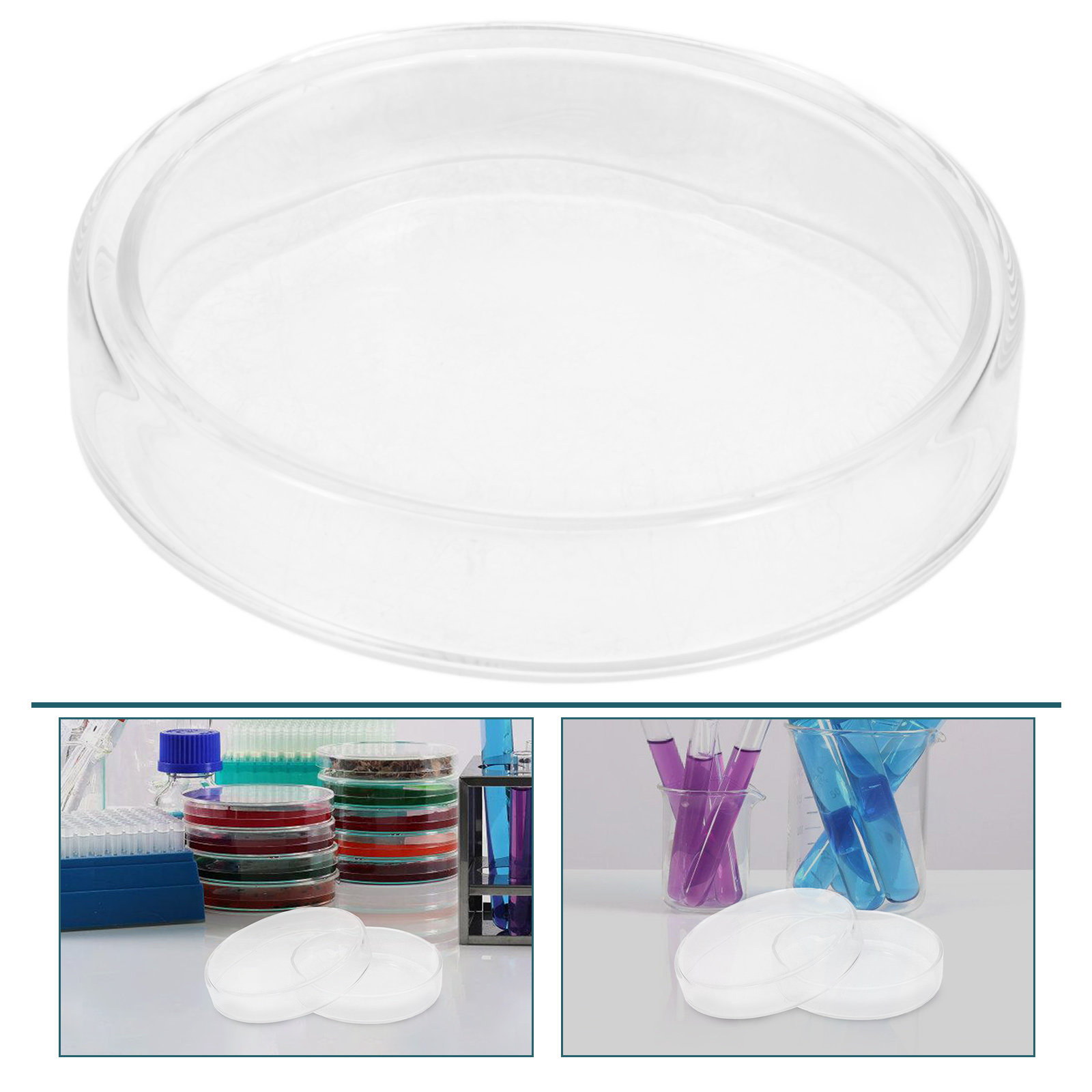 Agar Tissue Culture - High Borosilicate Glass Petri Dish Tissue