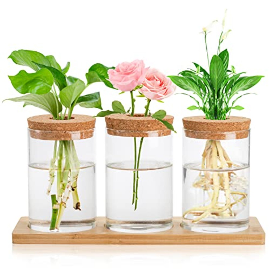 3 Pcs Plant Terrarium Propagat - Propagation Station Vase ulasan dan harga