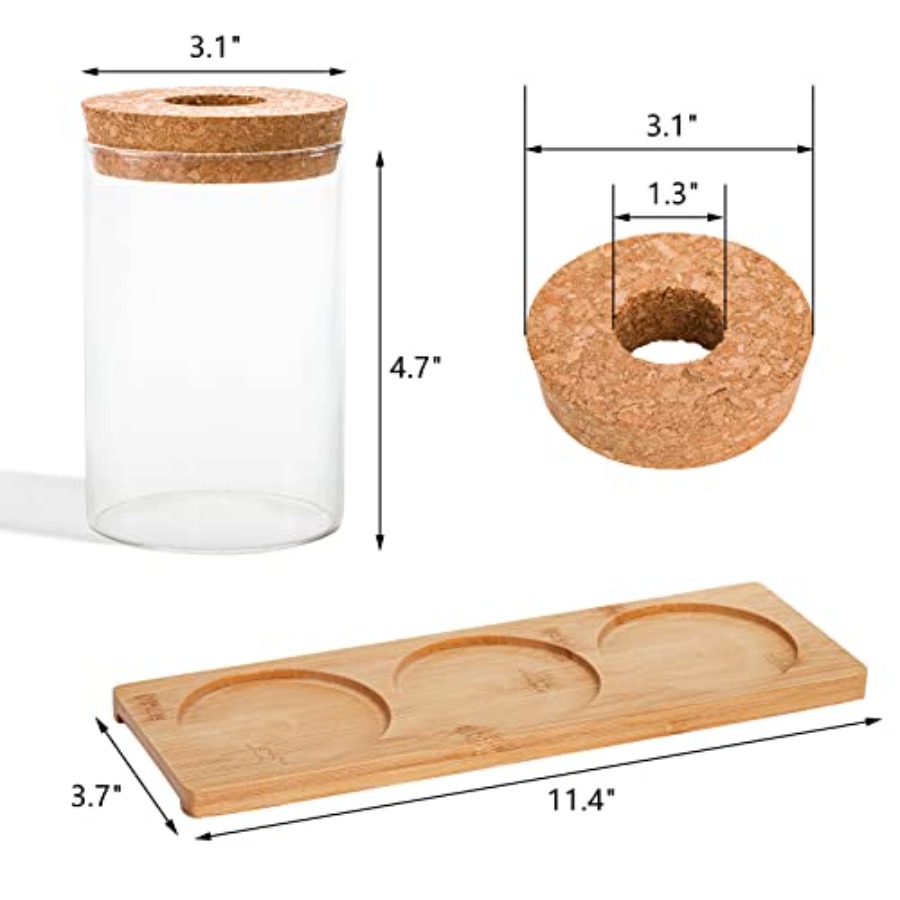 3 Pcs Plant Terrarium Propagat - Propagation Station Vase ulasan dan harga