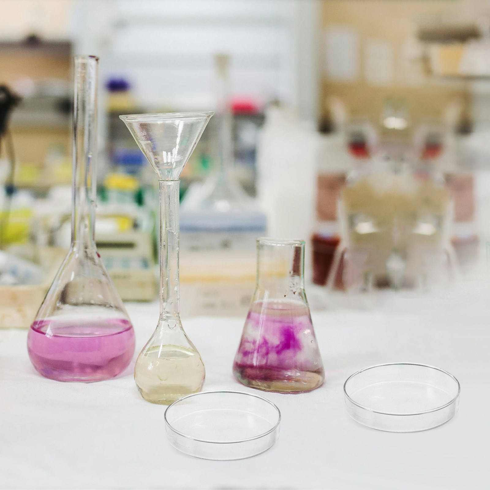Glass Petri Dish Flat Bottom R - Agar Tissue Culture ulasan dan harga