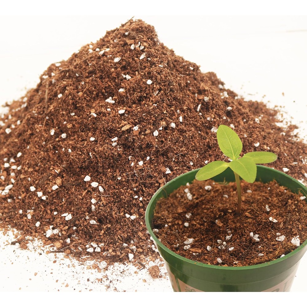 3QT Potting Soil Mix for Indoo - Coco Perlite Mix ulasan dan harga