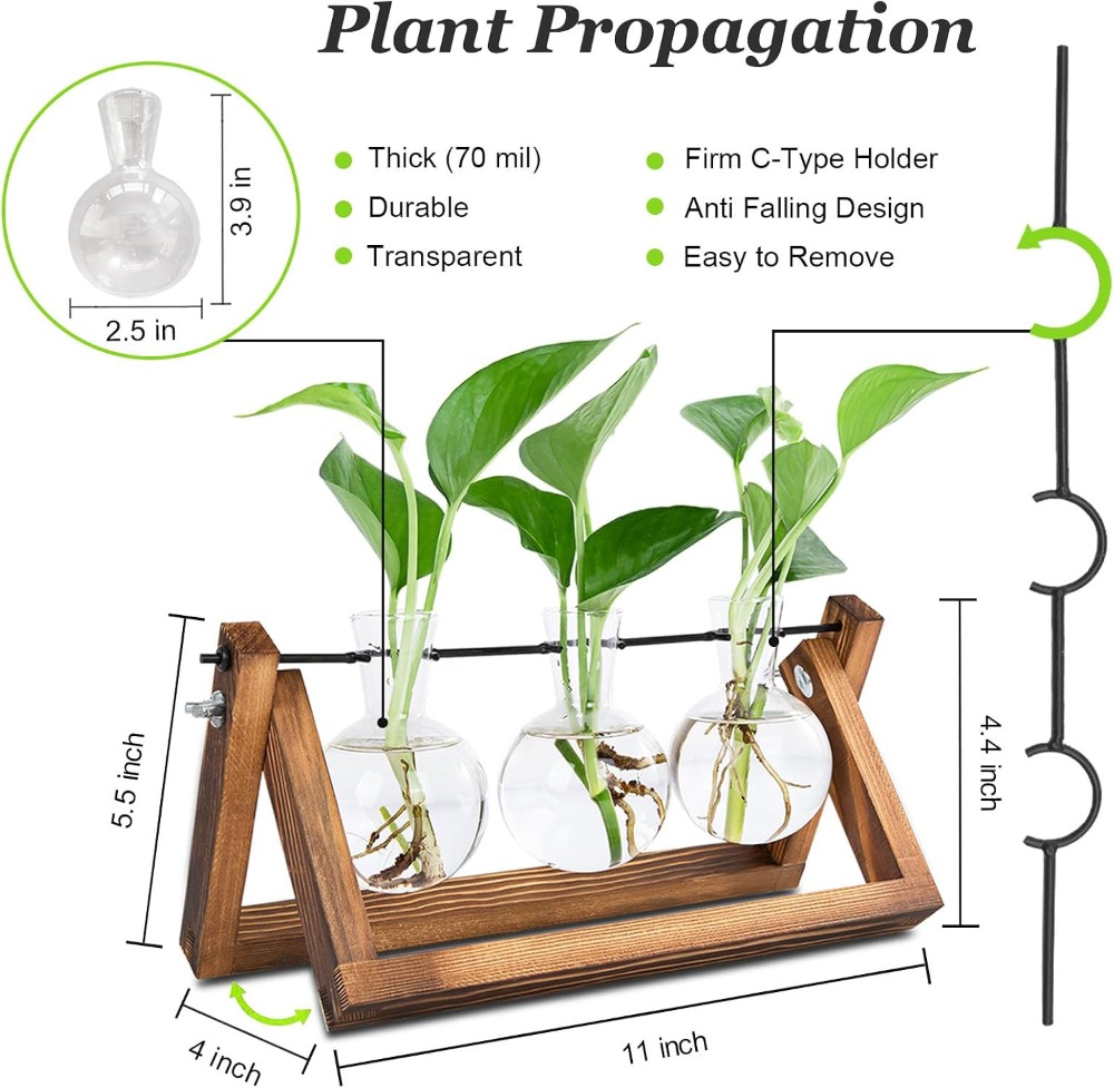 Plant Propagation Stations wit - Propagation Station Vase ulasan dan harga