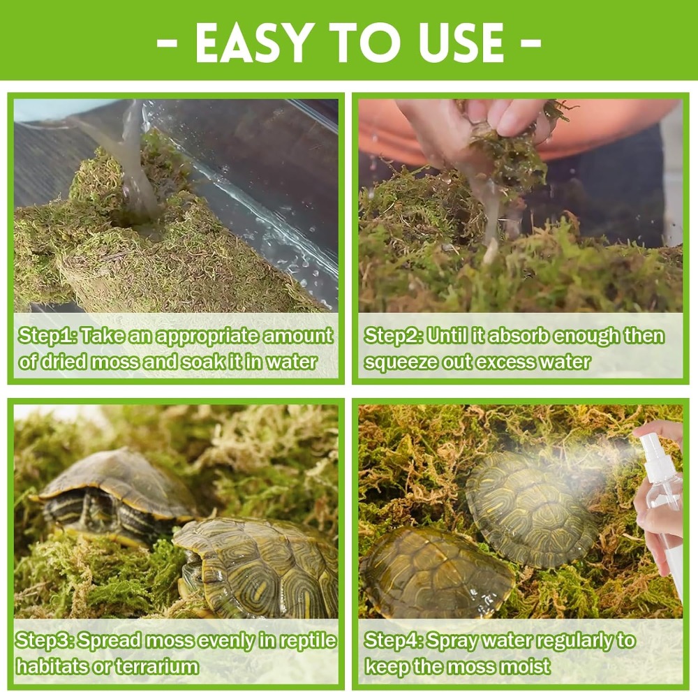 3.5 OZ Premium Sphagnum Moss f - Sphagnum Moss Dry ulasan dan harga