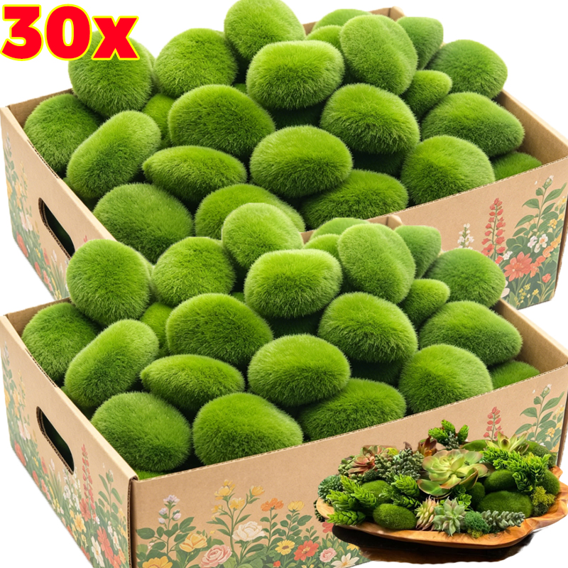 5/30pcs Simulation Moss Stone  - Sphagnum Moss Dry ulasan dan harga