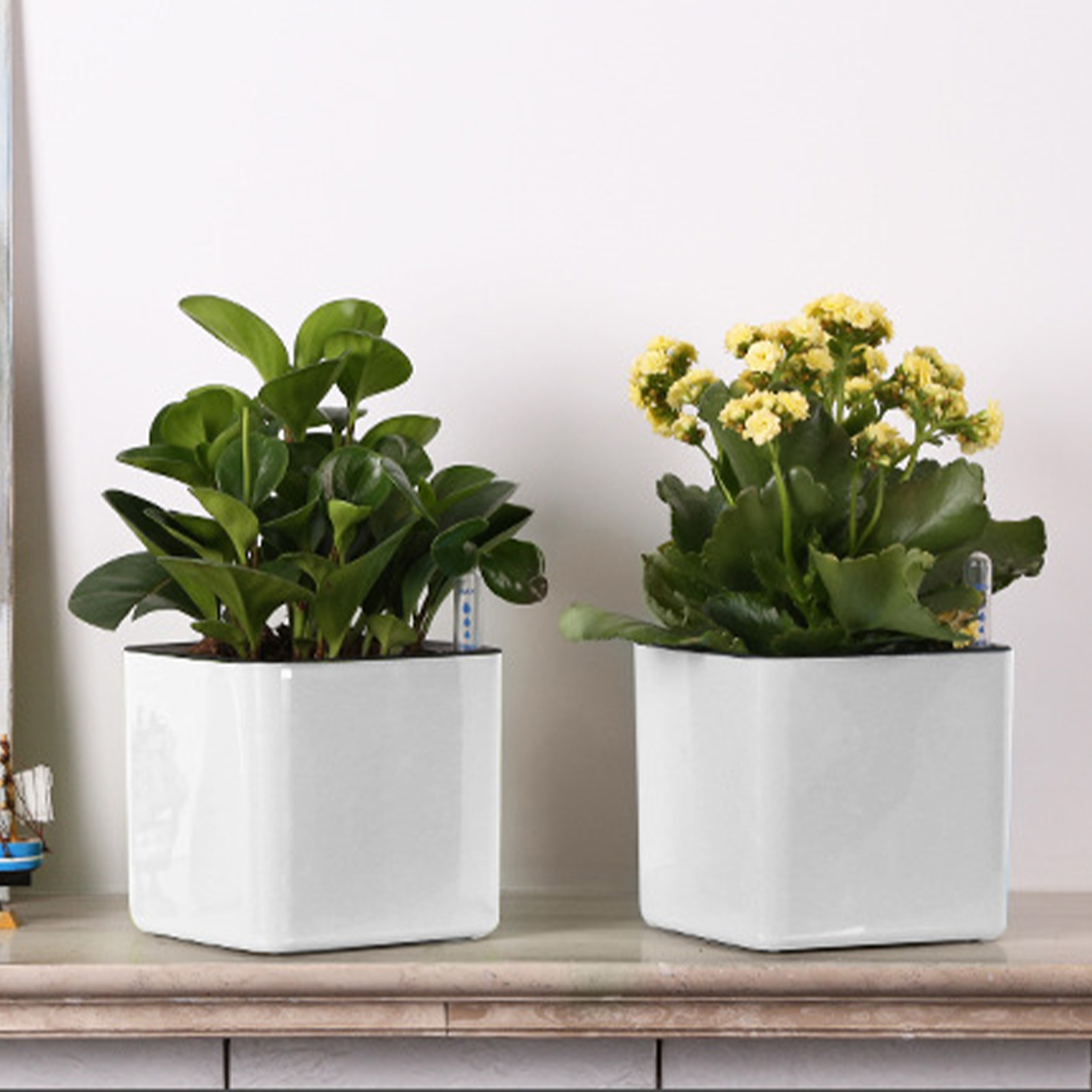 3 size Lazy flowerpot Green Pl - Self Watering Insert ulasan dan harga