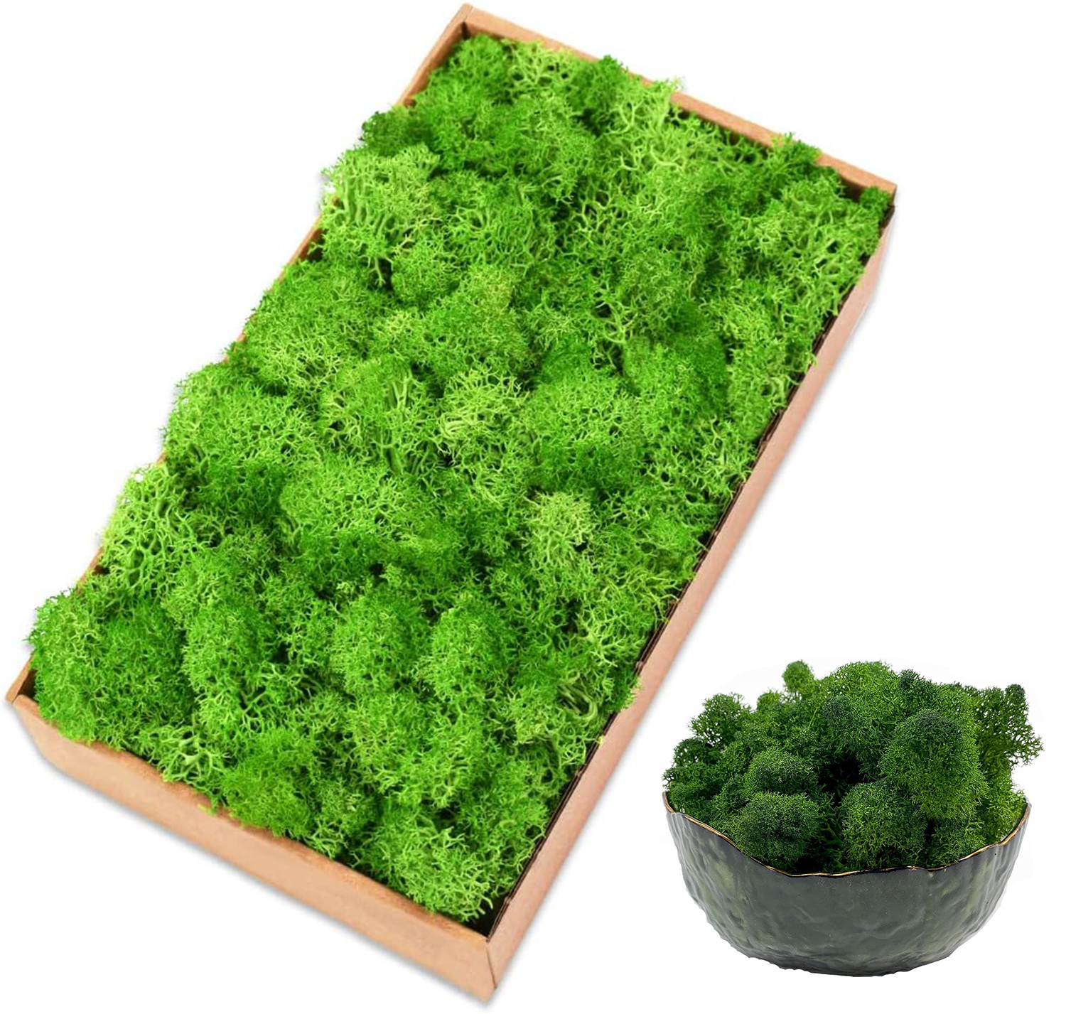 Eternal Life Moss Artificial G - Sphagnum Moss Dry ulasan dan harga