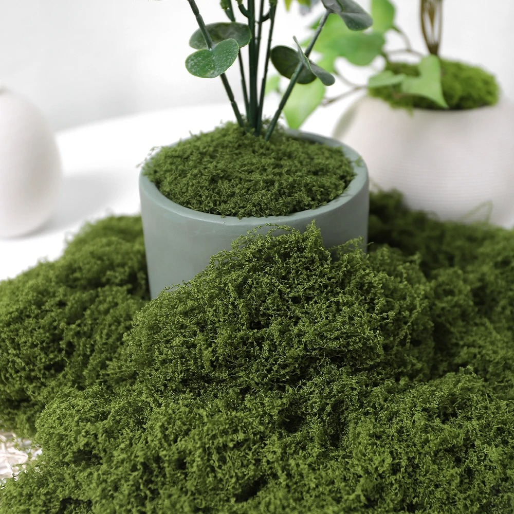 30/50/100g Artificial Green Pl - Sphagnum Moss Dry ulasan dan harga