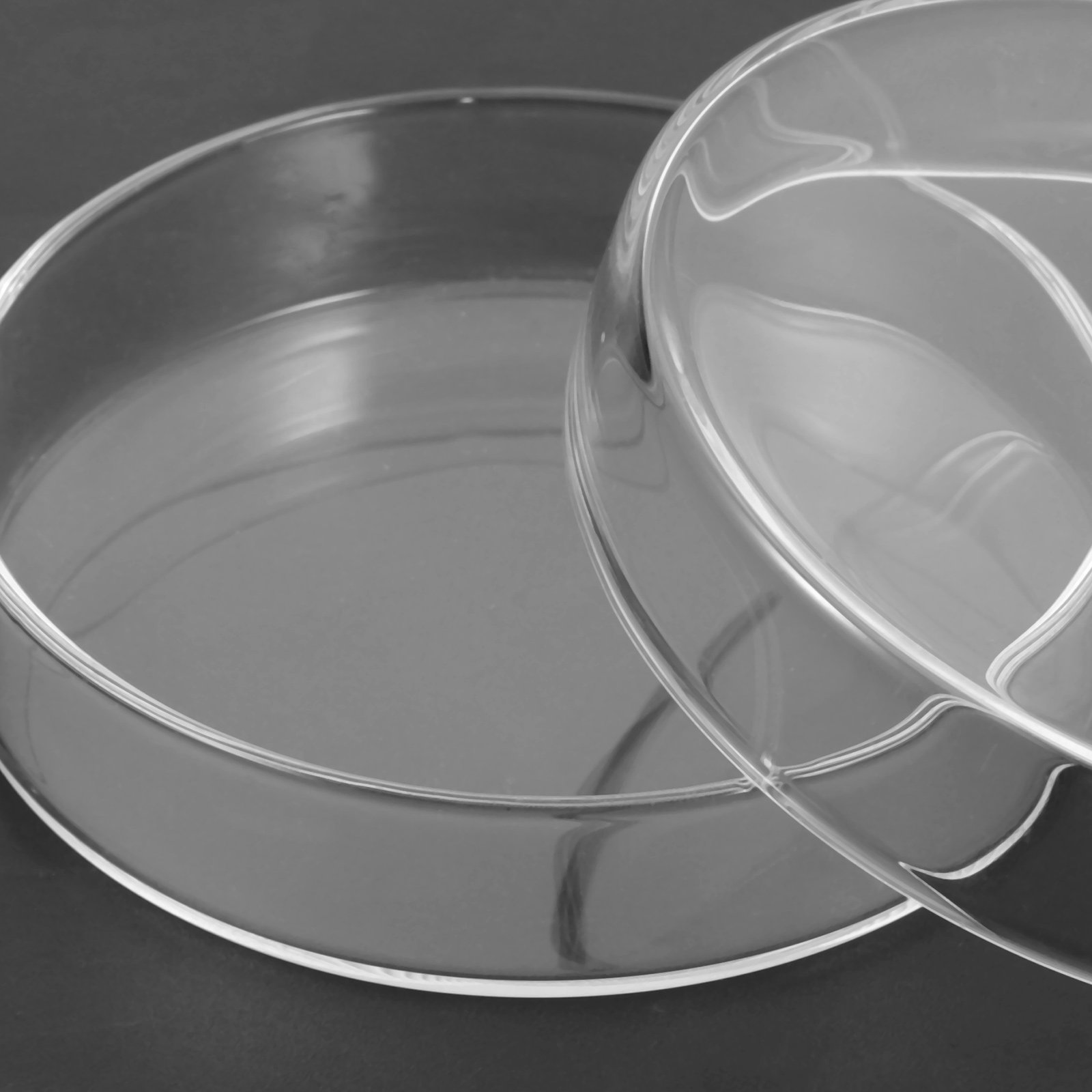 High Borosilicate Glass Petri  - Agar Tissue Culture ulasan dan harga