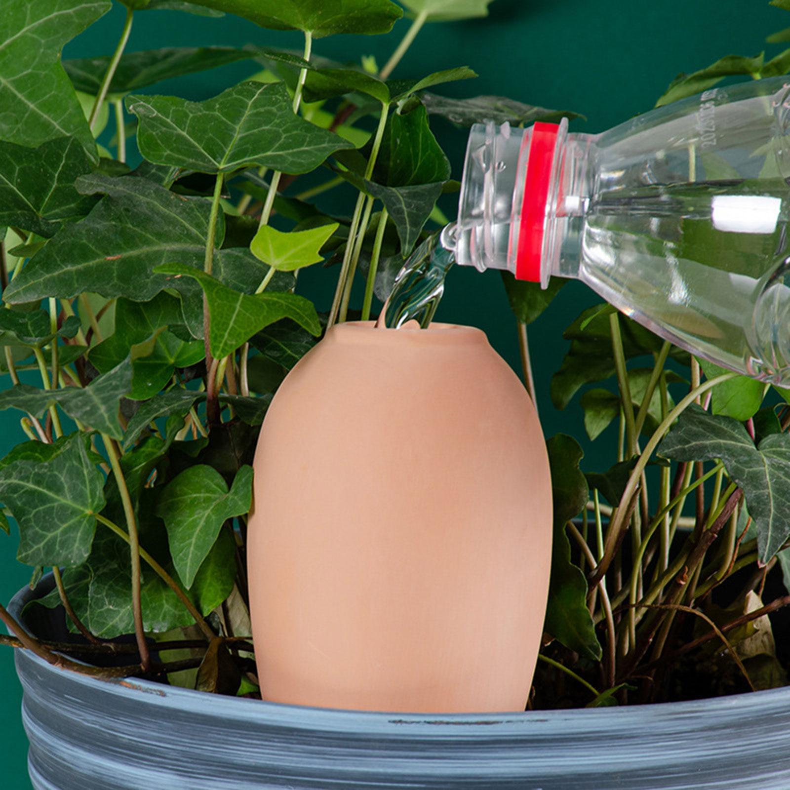 Self Watering Pot Inserts Auto - Self Watering Insert ulasan dan harga