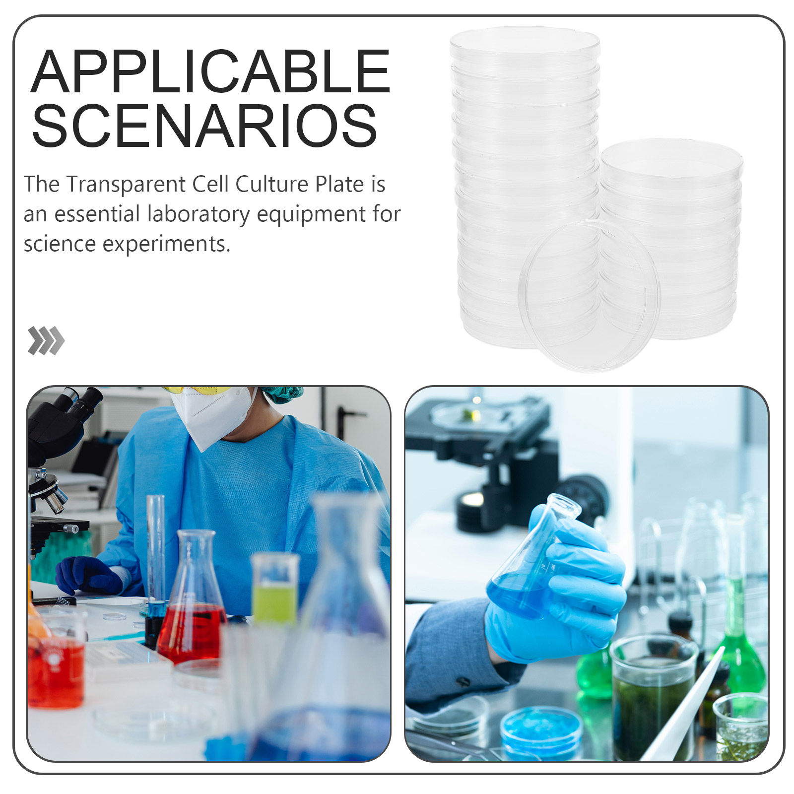 20Pcs Clear Sterile Petri Dish - Agar Tissue Culture ulasan dan harga