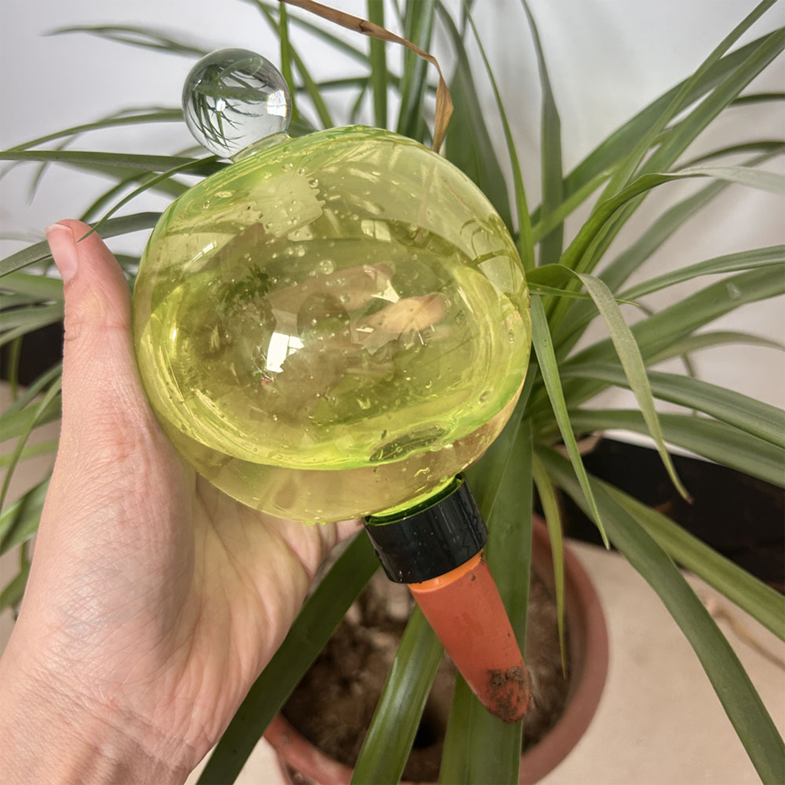 Self Watering Planter Insert T - Self Watering Insert ulasan dan harga