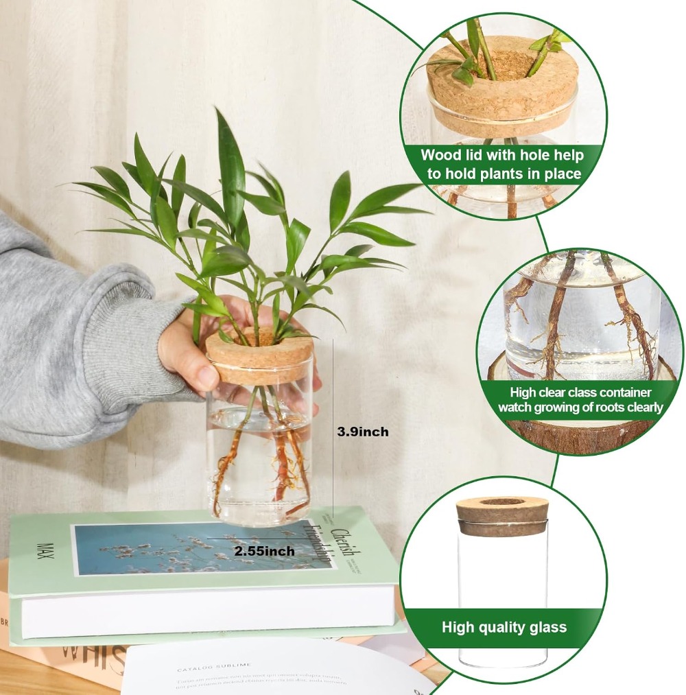 Desktop Glass Flower Vases - I - Propagation Station Vase ulasan dan harga