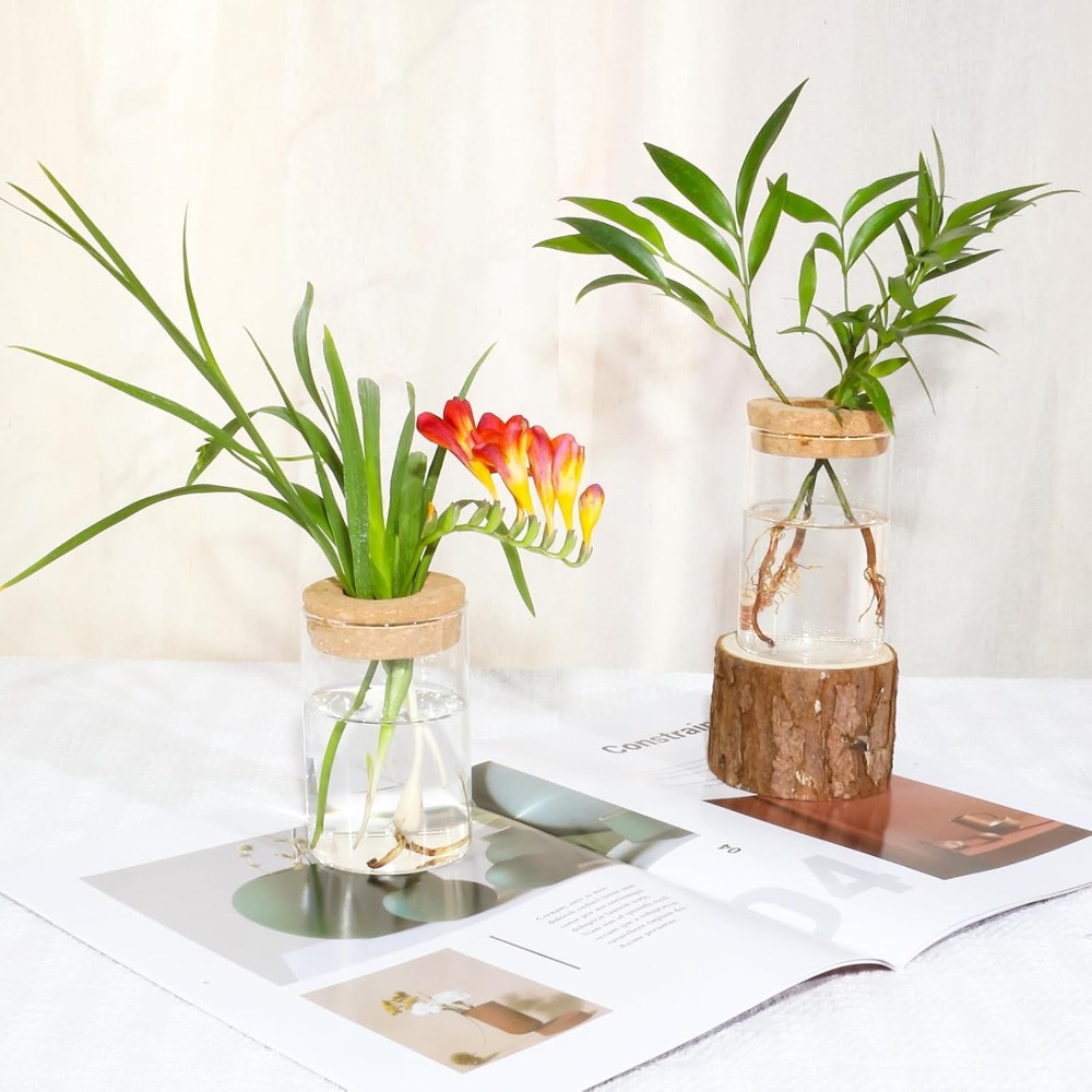 Desktop Glass Flower Vases - I - Propagation Station Vase ulasan dan harga