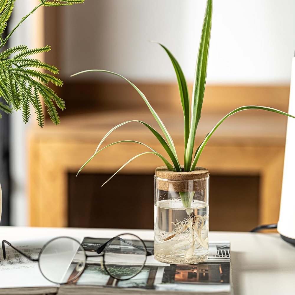 Desktop Glass Flower Vases - I - Propagation Station Vase ulasan dan harga