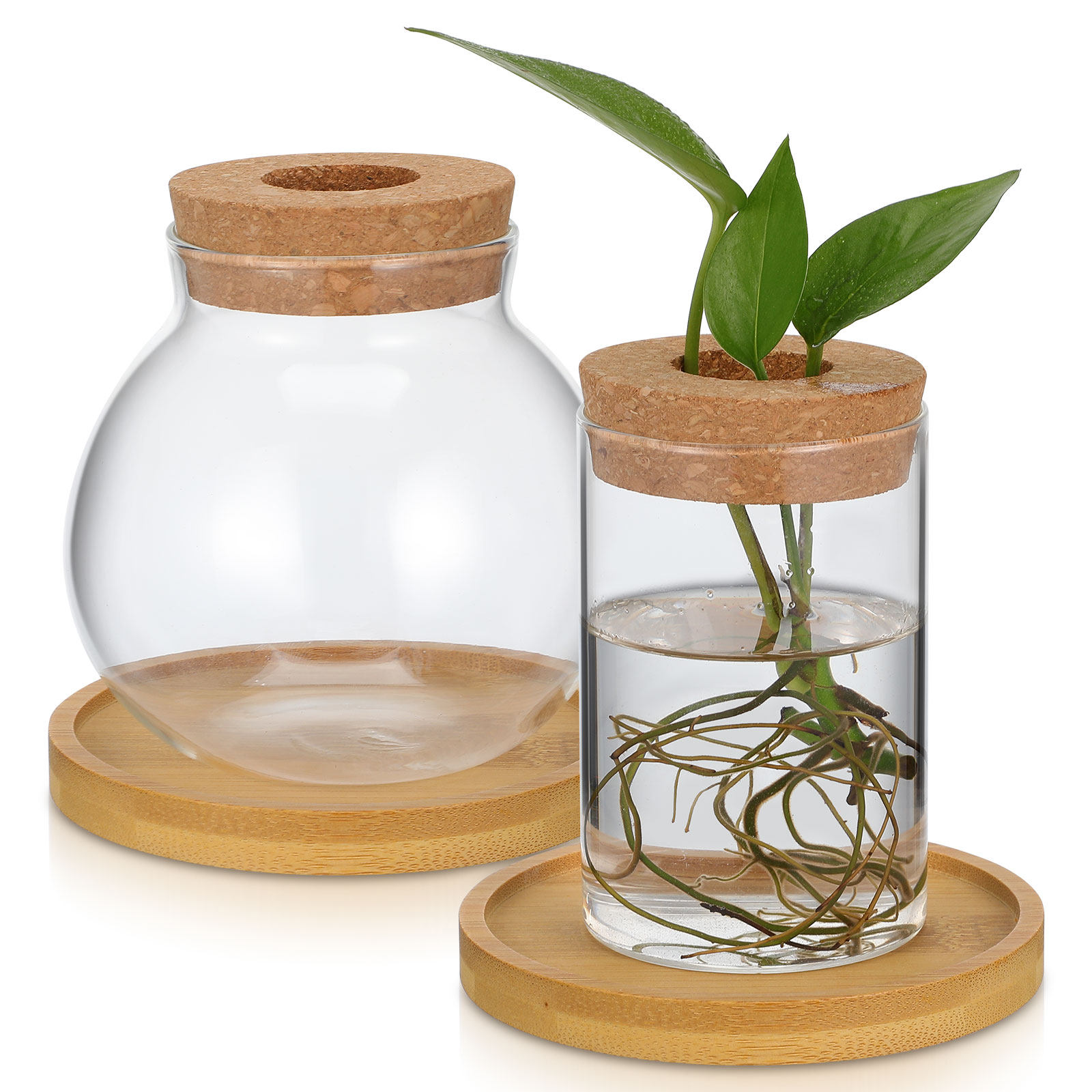 2 pcs Glass Minimalist Design  - Propagation Station Vase ulasan dan harga