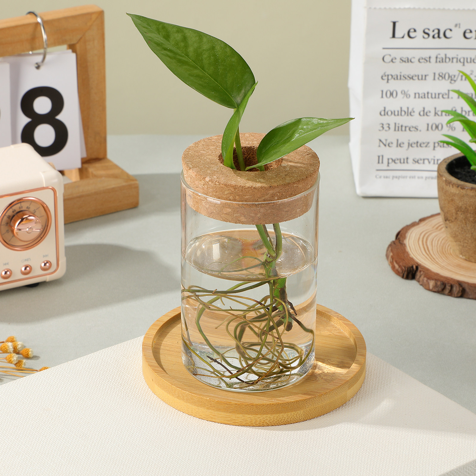 2 pcs Glass Minimalist Design  - Propagation Station Vase ulasan dan harga