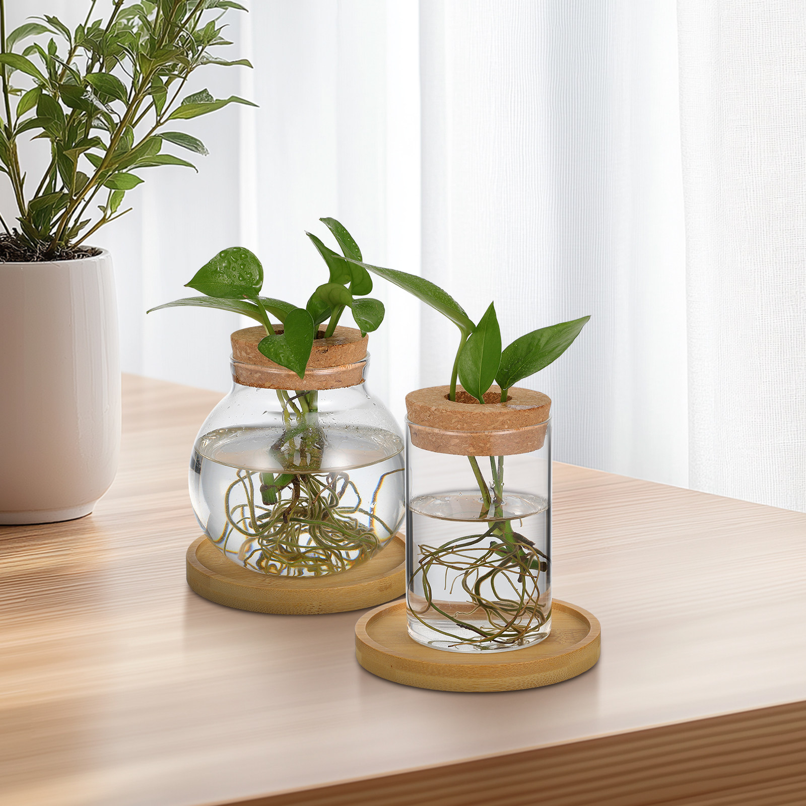 2 pcs Glass Minimalist Design  - Propagation Station Vase ulasan dan harga