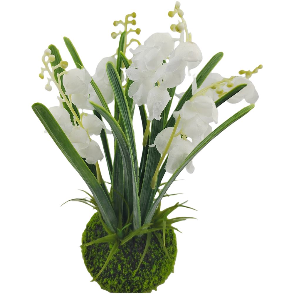 Compact Handcrafted Moss Ball  - Sphagnum Moss Dry ulasan dan harga