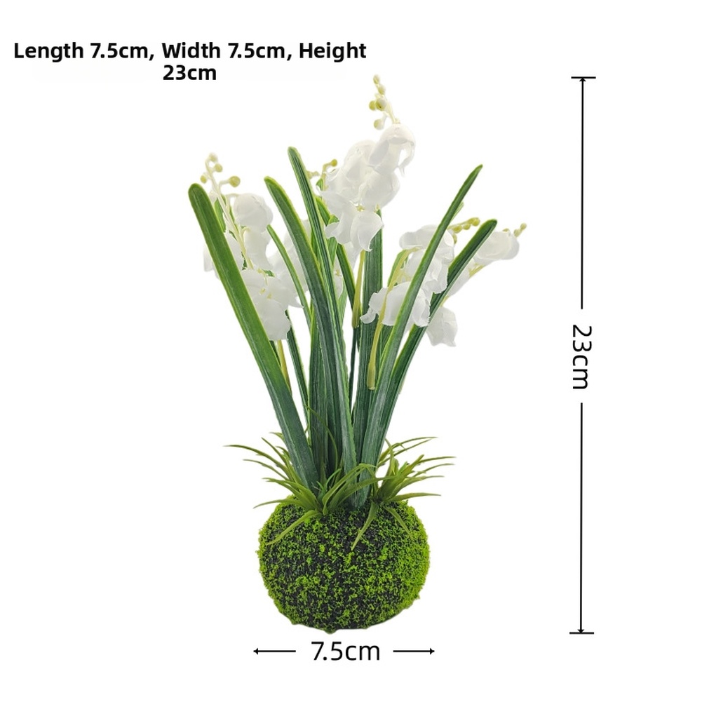 Compact Handcrafted Moss Ball  - Sphagnum Moss Dry ulasan dan harga