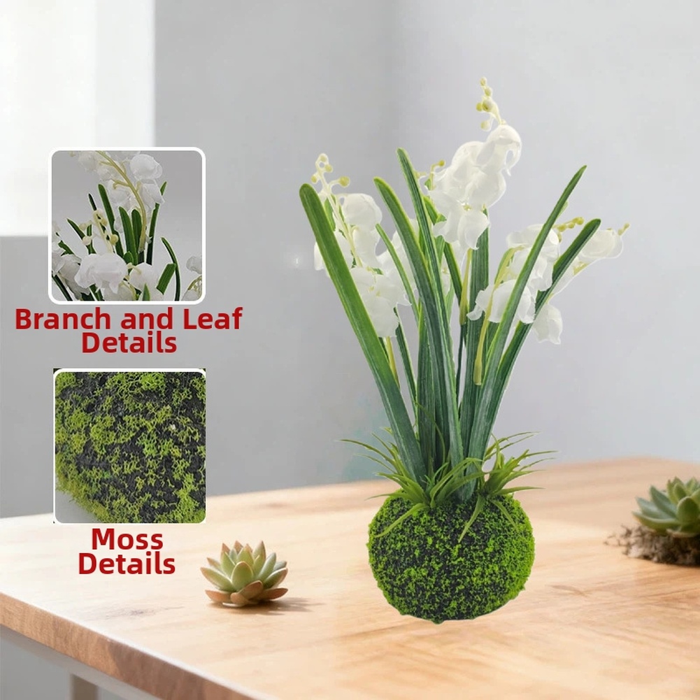 Compact Handcrafted Moss Ball  - Sphagnum Moss Dry ulasan dan harga