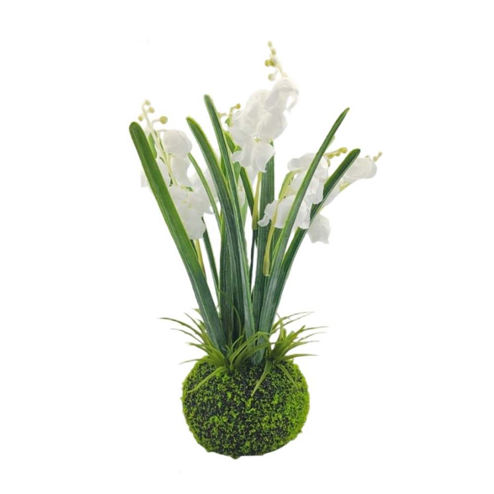Compact Handcrafted Moss Ball  - Sphagnum Moss Dry ulasan dan harga