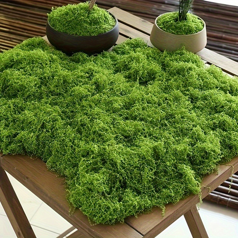 Green Fake Moss DIY Crafts Gra - Sphagnum Moss Dry ulasan dan harga