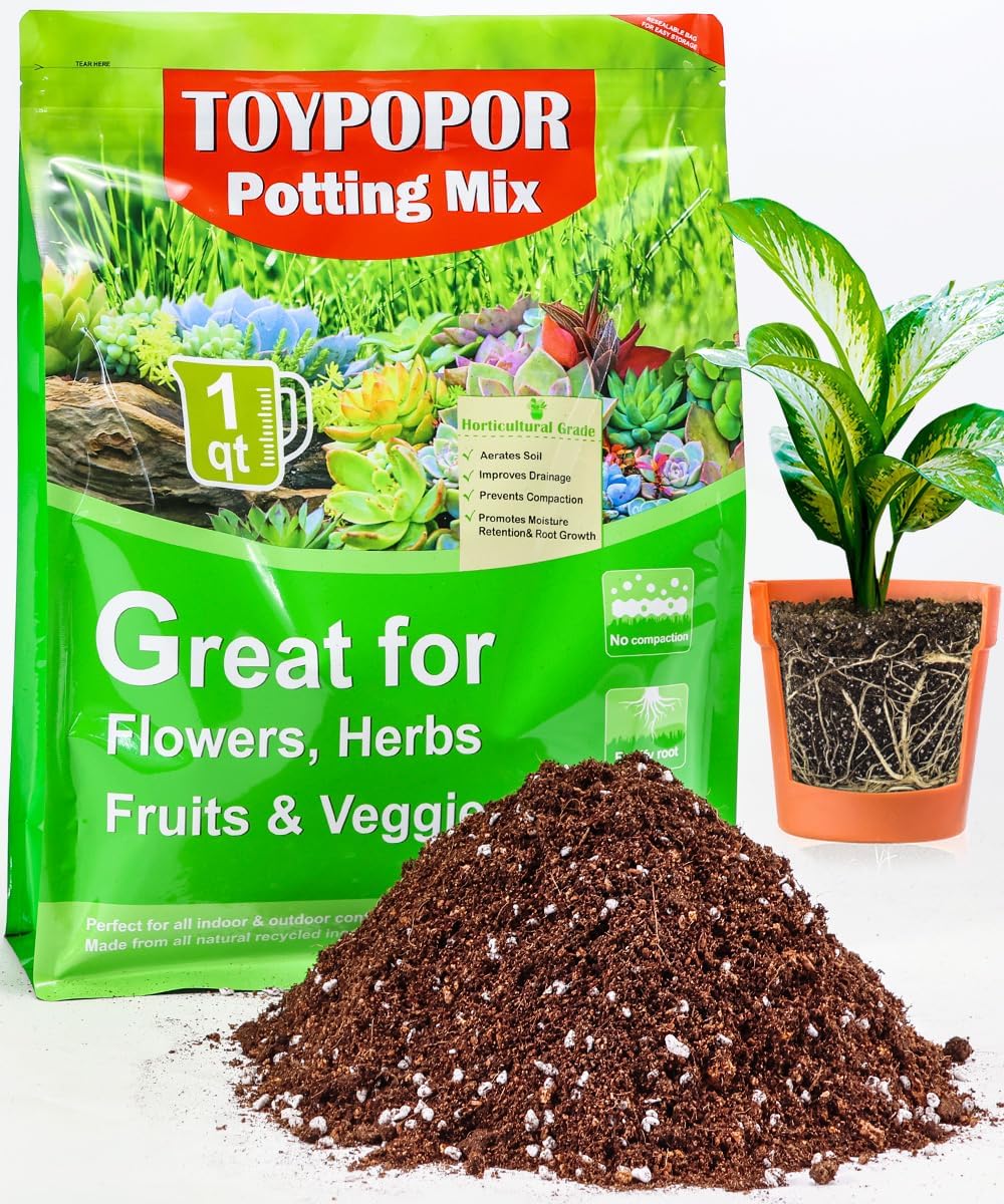 Potting Soil for All Indoor Ho - Coco Perlite Mix ulasan dan harga