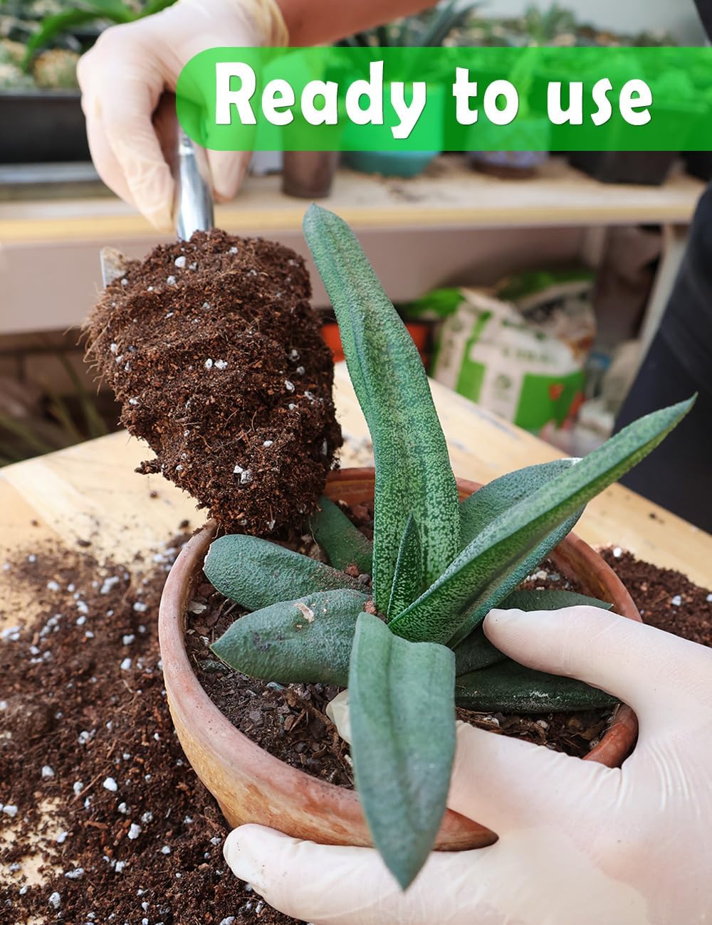 Potting Soil for All Indoor Ho - Coco Perlite Mix ulasan dan harga