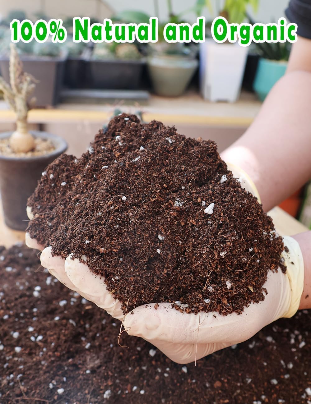 Potting Soil for All Indoor Ho - Coco Perlite Mix ulasan dan harga