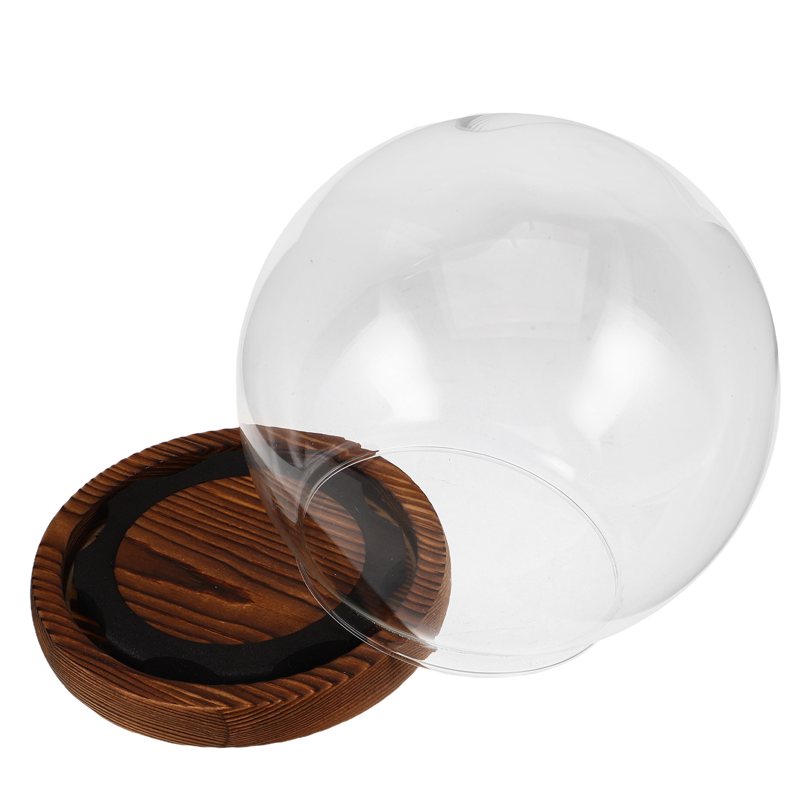 Transparent Glass Dome with Ba - Plastic Dome Clear ulasan dan harga