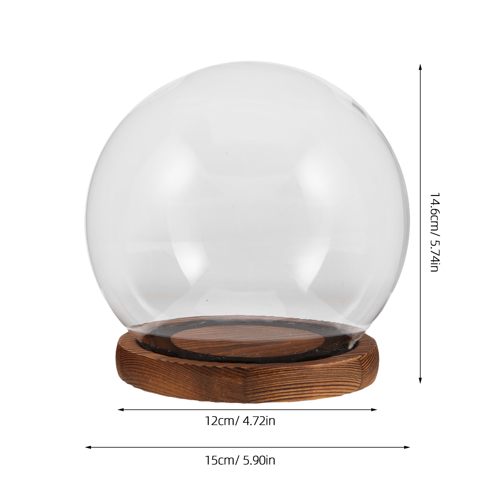 Transparent Glass Dome with Ba - Plastic Dome Clear ulasan dan harga
