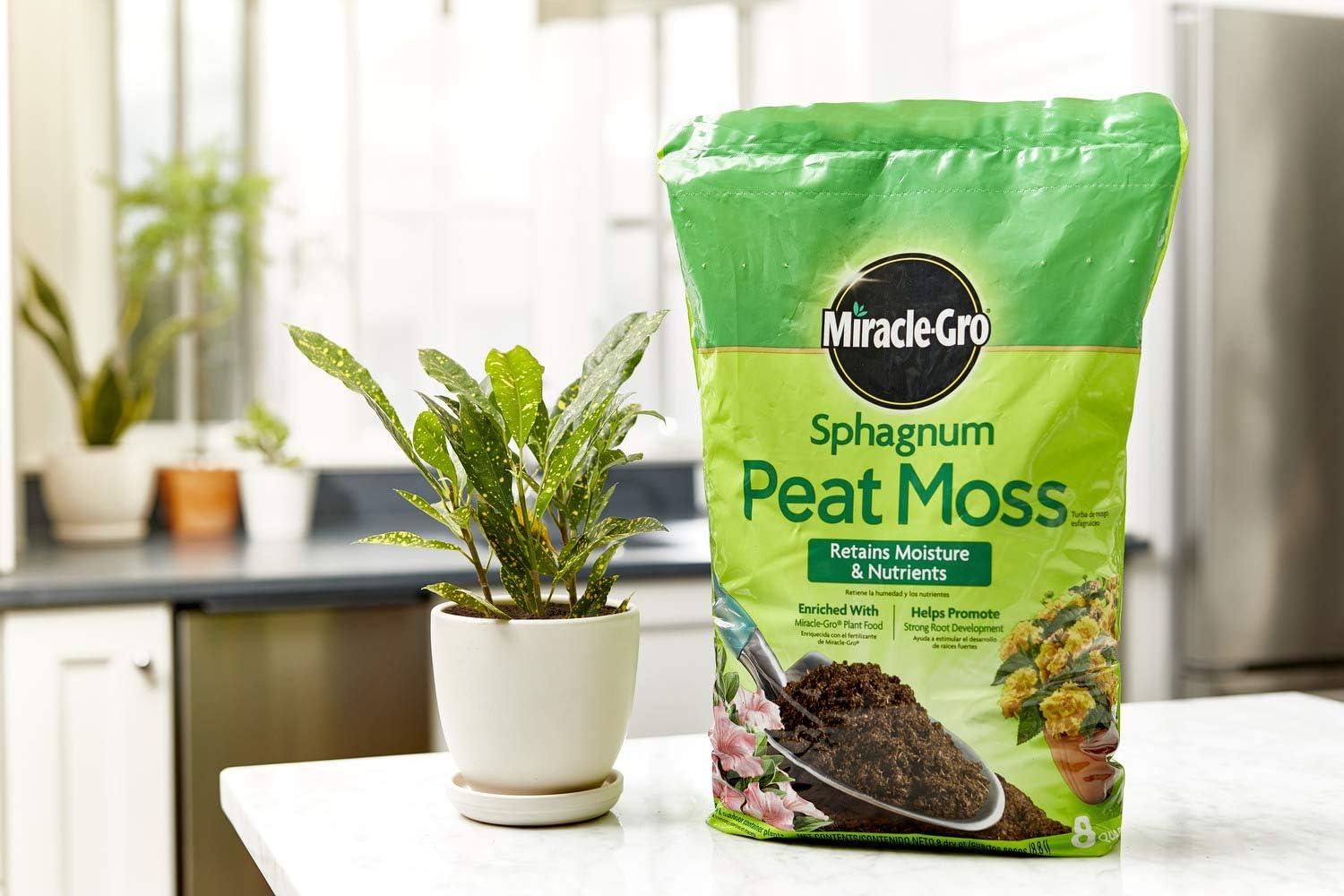 Sphagnum Peat Moss enriched wi - Sphagnum Moss Dry ulasan dan harga
